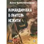 Постер книги Командировка в обитель нежити