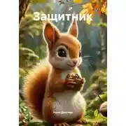 Постер книги Защитник