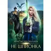 Постер книги Не шпионка 2