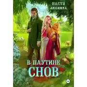 Постер книги В паутине снов