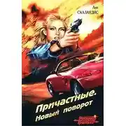 Постер книги Новый поворот