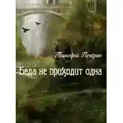 Постер книги Беда не приходит одна