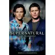 Постер книги И прошел год