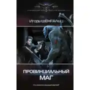 Постер книги Провинциальный маг