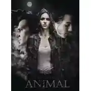 Постер книги Зверь