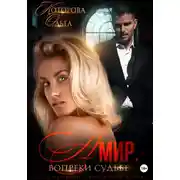 Постер книги Амир. Вопреки судьбе