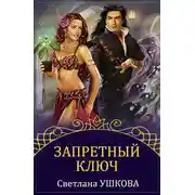 Постер книги Запретный ключ