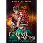 Постер книги Поймать дракона. Новый год в Академии
