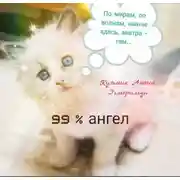 Постер книги По мирам, по волнам, нынче здесь, завтра -там...