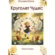 Постер книги Круголет чудес