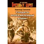 Постер книги Солдаты необъявленной войны