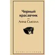 Постер книги Чёрный Красавчик
