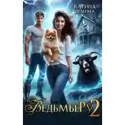 Постер книги Ведьмы.Ру 2