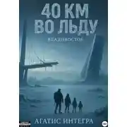 Постер книги 40 км во льду