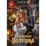 Постер книги Лот номер Золушка