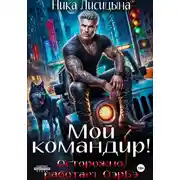 Постер книги Мой командир!
