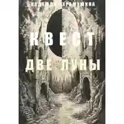 Постер книги Квест «Две Луны»