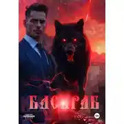 Постер книги Басараб