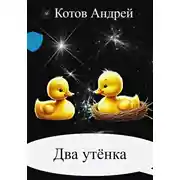 Постер книги Два утёнка
