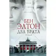 Постер книги Два брата