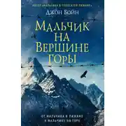 Постер книги Мальчик на вершине горы