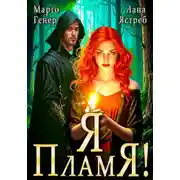 Постер книги Я – пламя!