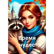 Постер книги Время чудес