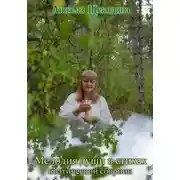 Постер книги Мелодия души в стихах. Поэтический сборник