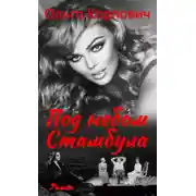 Постер книги Под небом Стамбула