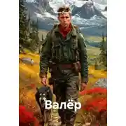 Постер книги Валёр