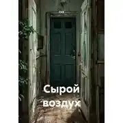 Постер книги Сырой воздух