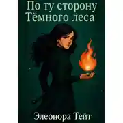 Постер книги По ту сторону Тёмного леса