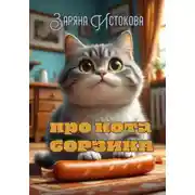 Постер книги Про кота Борзика