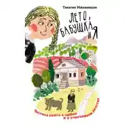 Постер книги Лето, бабушка и я