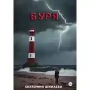 Постер книги Буря