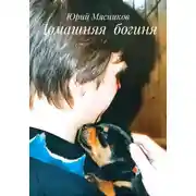Постер книги Домашняя богиня