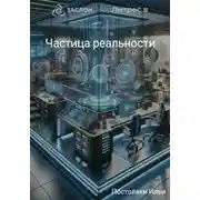 Постер книги Частица реальности