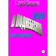 Постер книги Визит в Поднебесную (листы дневника)