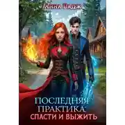 Постер книги Последняя практика: спасти и выжить
