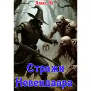 Постер книги Стражи Невендаара