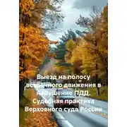 Постер книги Выезд на полосу встречного движения в нарушение ПДД. Судебная практика Верховного суда России