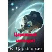 Постер книги Царевский метеорит