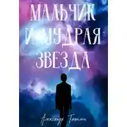 Постер книги Мальчик и Мудрая звезда