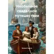 Постер книги Необычное свадебное путешествие