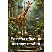 Постер книги Ракеты обычно летают в обед
