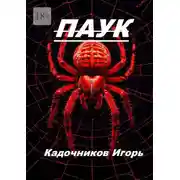 Постер книги Паук