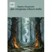 Постер книги Две стороны одного тебя