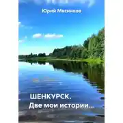 Постер книги ШЕНКУРСК. Две мои истории…