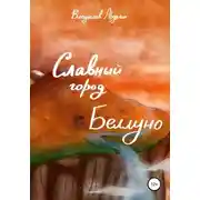 Постер книги Славный город Беллуно
