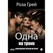 Постер книги Одна на троих